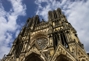 Lutte contre les nuisibles Reims