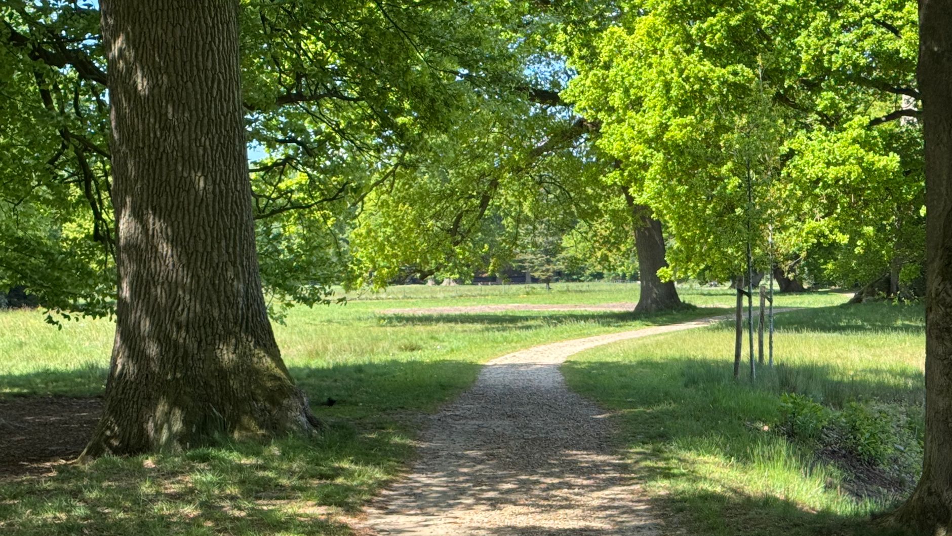 Lutte contre les nuisibles à Reims
